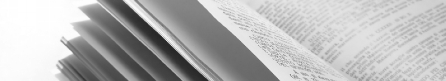 lorem ipsum header image 4